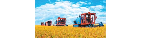  ��ũ��ע 100601nnxk88nyondq8y24