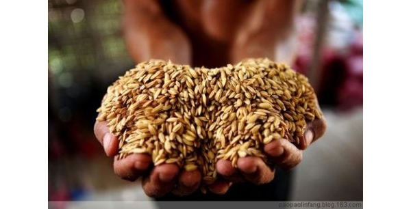  ��ũ��ע 100601s2lese111252ii2q