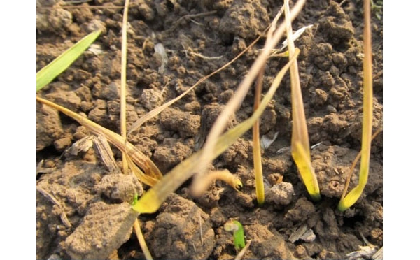  ����ݺ� 115316zg75vkzsiwuiwyxm