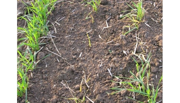  ����ݺ� 1153162z10jqi55400x00q