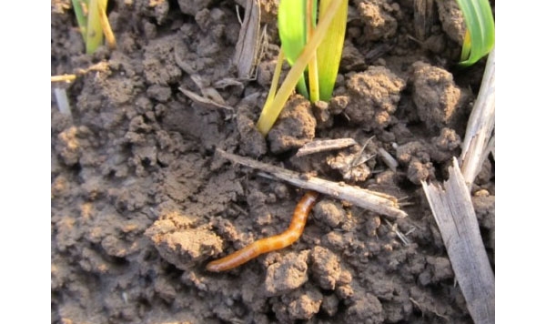  ����ݺ� 115319u3finftmtmtuft77