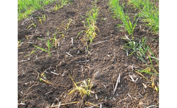  ����ݺ� 11531788zakh7z4k5kekkk