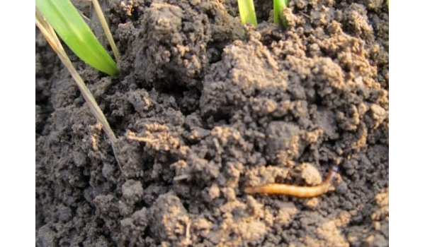  ����ݺ� 11531812q414oicii9cd4v