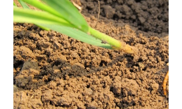  ����ݺ� 115318p9off1wwff77mi7j