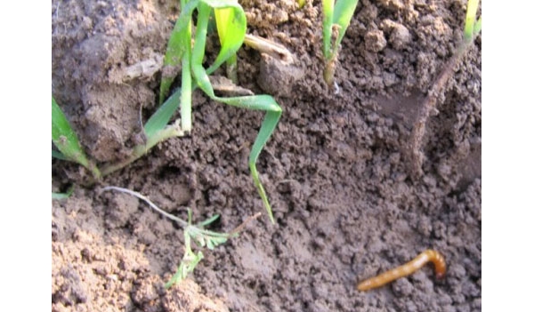  ����ݺ� 115319u2ffd80qwj12uoj8