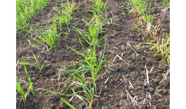  ����ݺ� 115320uezirac5xcht94xv