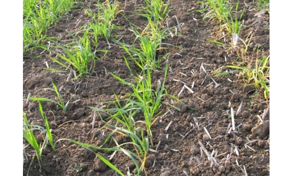  ����ݺ� 1153214t7p4p42x4ql4yoa