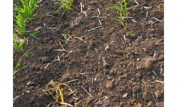  ����ݺ� 115321j1jptq5jqfnq5sqv