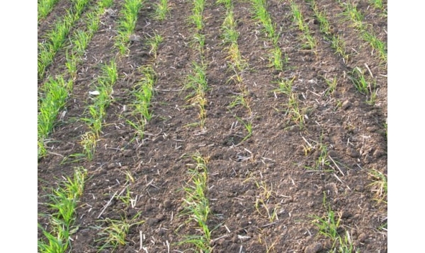  ����ݺ� 115322j8wq8rqd3qi87x8z