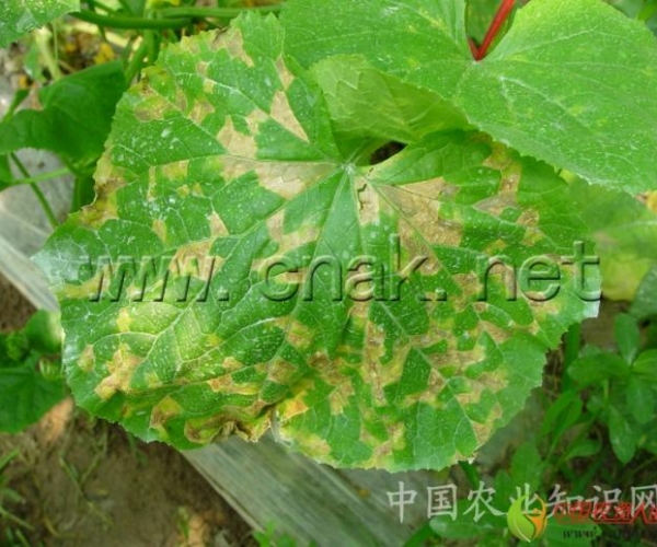  ����ݺ� 16163388r7k6lluqraz5th