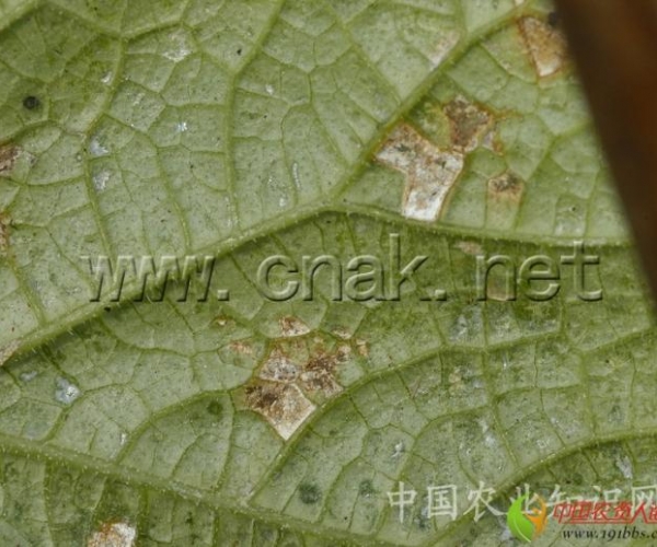  ����ݺ� 1616349yg61cyp9g764x9c