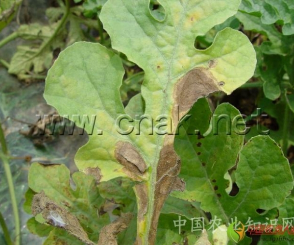  ����ݺ� 162056wcrxex1t11baa5xa