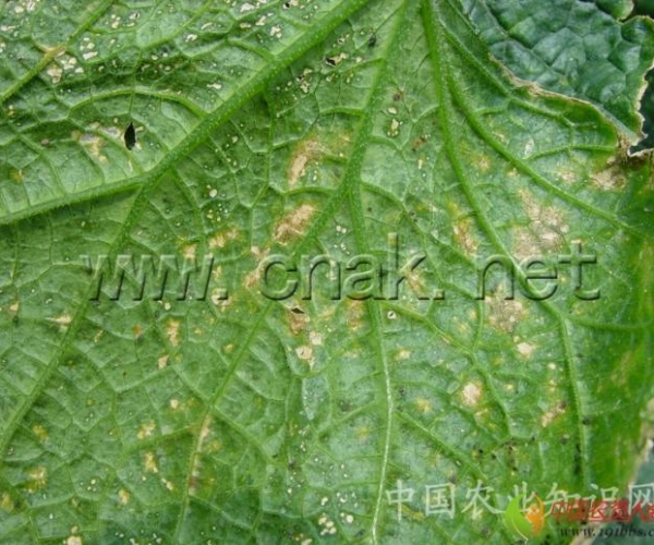  ����ݺ� 161636e381fvr7jz2fwept