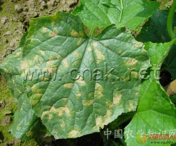  ����ݺ� 161636s7dse176et25xuty