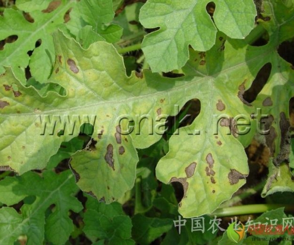  ����ݺ� 162334n2n2tlxv8pxebxee