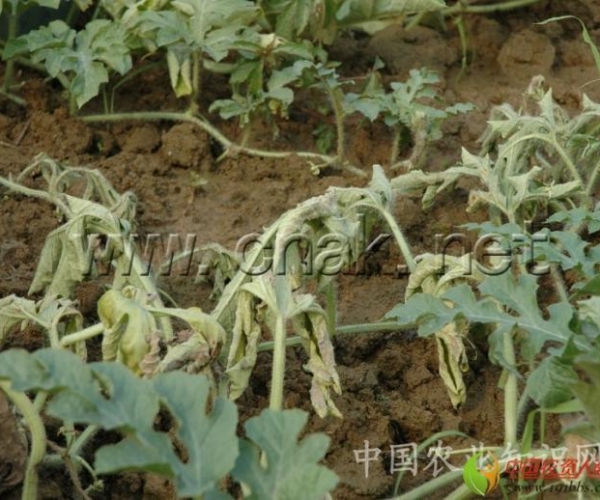  ����ݺ� 162333oioovkookgorzooq