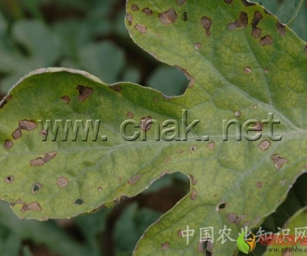  ����ݺ� 16233578ziiaygq8g4ahns