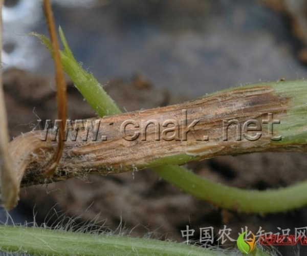  ����ݺ� 162336smyfzk0hhvwyyshr