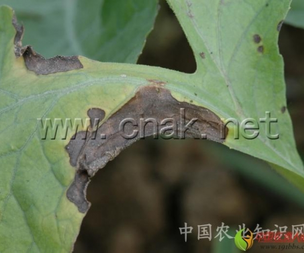  ����ݺ� 162338h5gddtg1n7dzsfuj