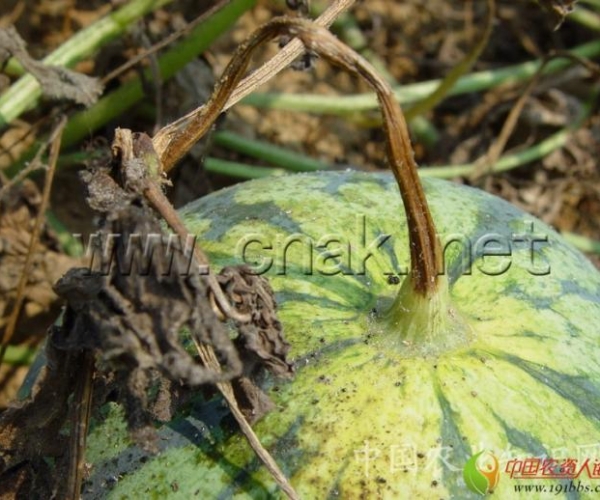  ����ݺ� 162342guxxiqh23uro0zuz