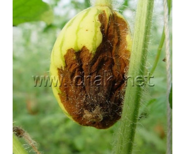  ����ݺ� 162340wpoorclcarekesrw