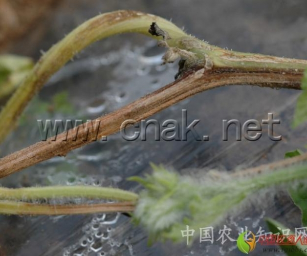  ����ݺ� 162340awdkxddu4zy495tx