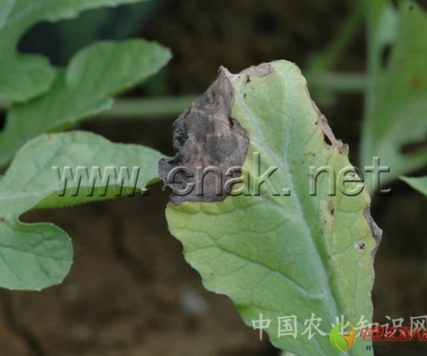  ����ݺ� 162341fy33f66yt3nfqy38