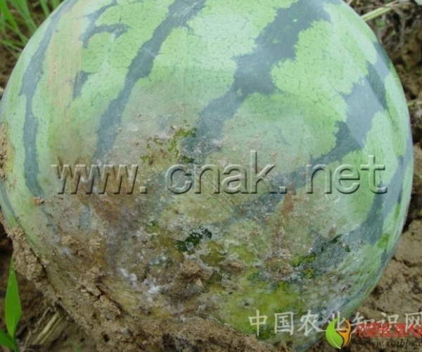  ����ݺ� 1623450icfu0igimbiaguc