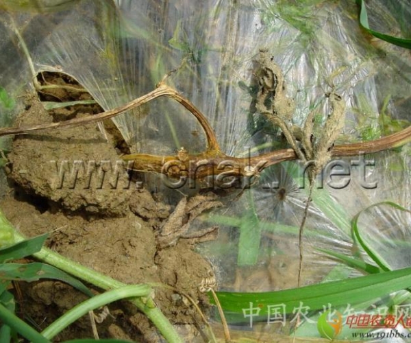  ����ݺ� 162342mvhmhghh3u69mbb6