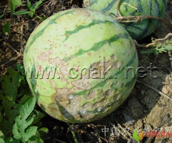  ݺ 1623438sb6pj8892353jua