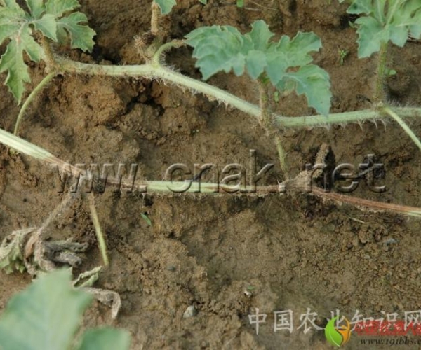  ����ݺ� 162346b992k1i7z0311tob