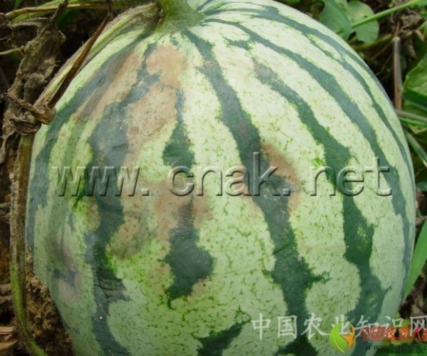  ݺ 162346l1lcdubtfgfdudl0