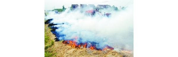  ְҵũ - Ȫ 100433z577iinoooi59d7n