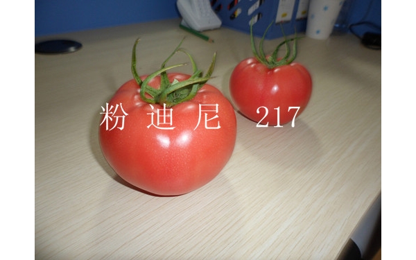  ũϢ forum