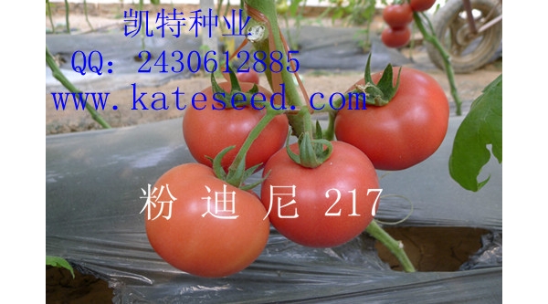  ũ����Ϣ forum