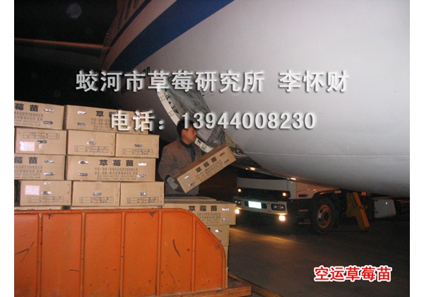  ֲ��ũ�� forum