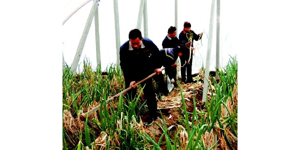  ֲũ 10434018m41e66g7n461a4