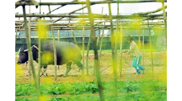  ��ũ��ע forum