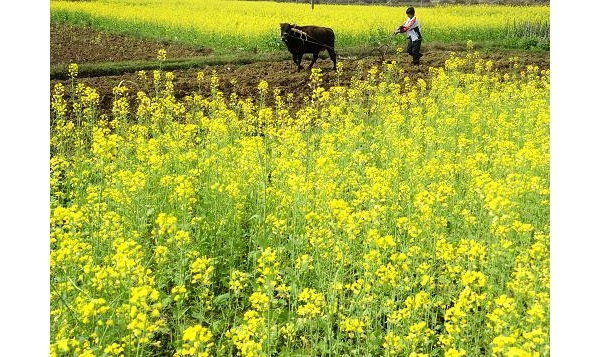  ��ũ��ע forum