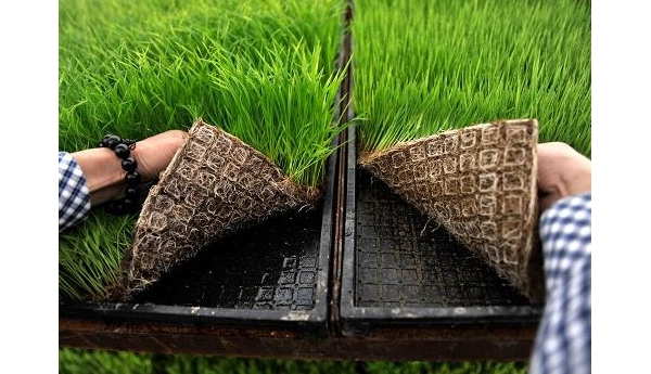  ֲũ 084616o52g0vngpafp5b5h