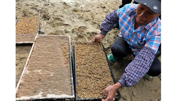  ֲ��ũ�� 0846145yycttc6pywnzw6c