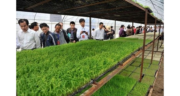  ֲ��ũ�� 084624jdz18hou9mumlmkm