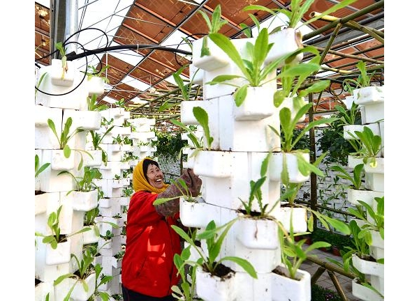  ��ũ��ע forum