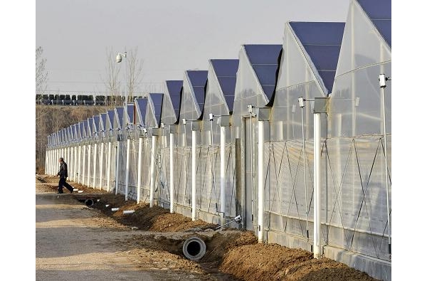  ��ũ��ע forum