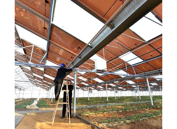  ��ũ��ע forum