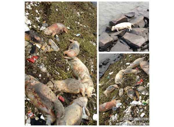  ��ũ��ע forum