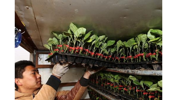  ��ũ��ע 131554v9avts3yxb7bvfvk