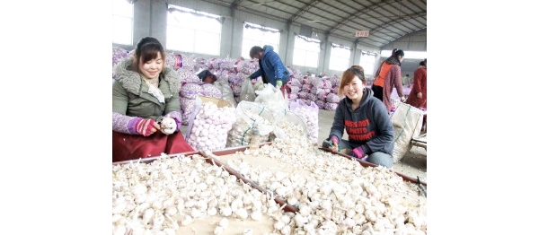  ũע 131544yimy1iditymzm81m