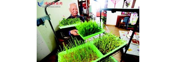  ũע 131559xb77xj20n0ggn2x8