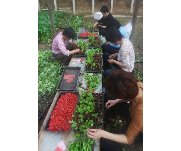  ��ũ��ע 131609s0brz40r04vv3op0